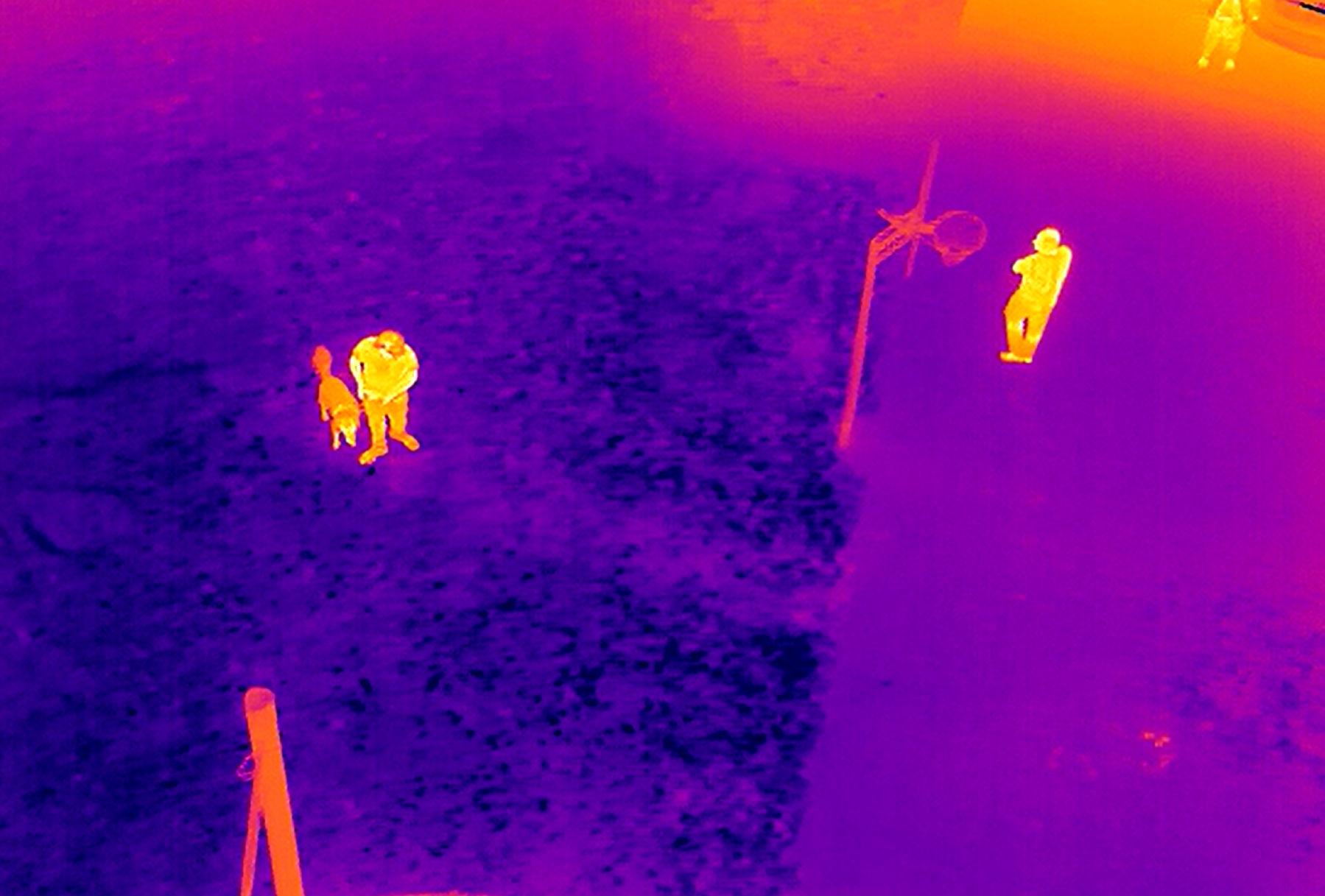 thermal image of persons and dog